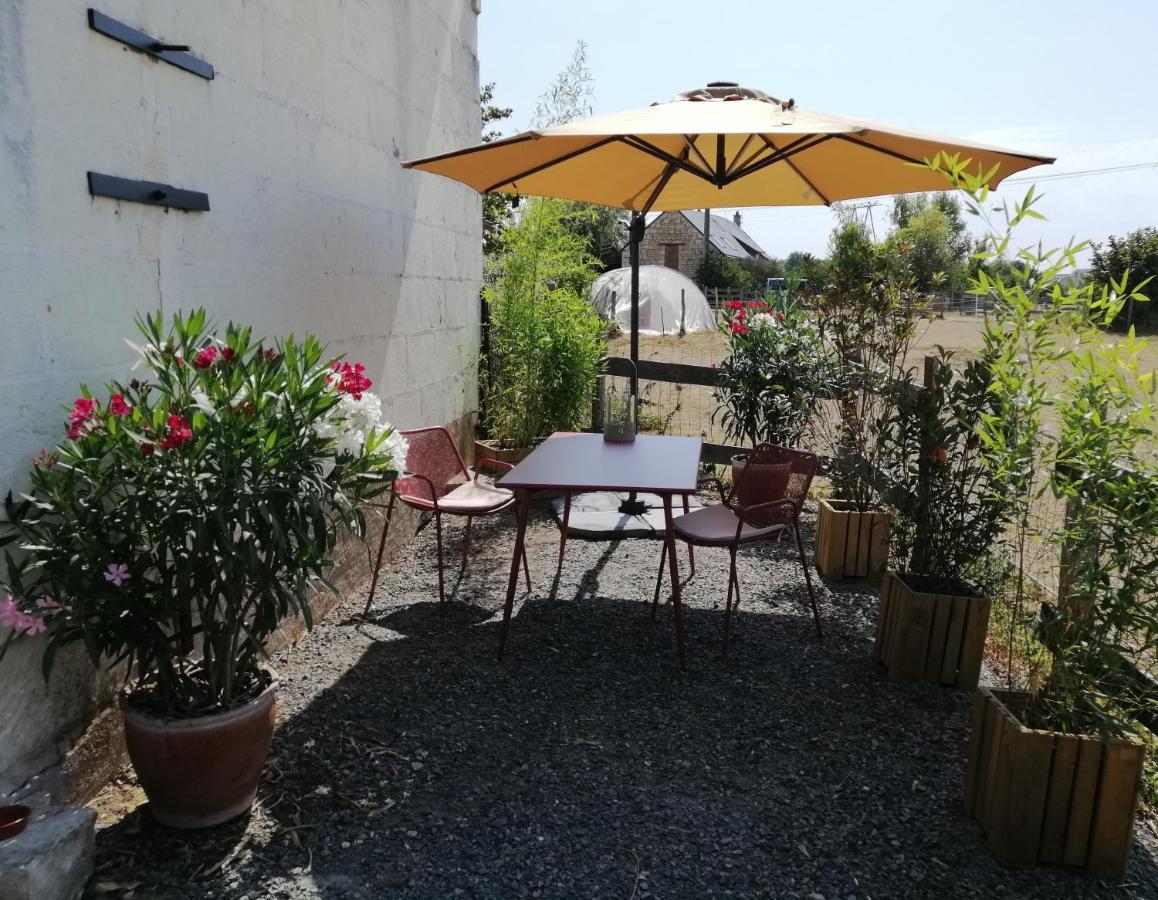 Bel Appt 3 Pieces, A L'Etage, Jardin Privatif, Au Calme, 10 Mn Saumur Et Cnpe Varennes-sur-Loire Ngoại thất bức ảnh